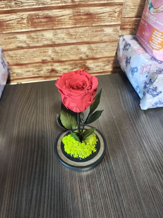 Trandafir criogenat roșu în cupolă de sticlă – cadou special