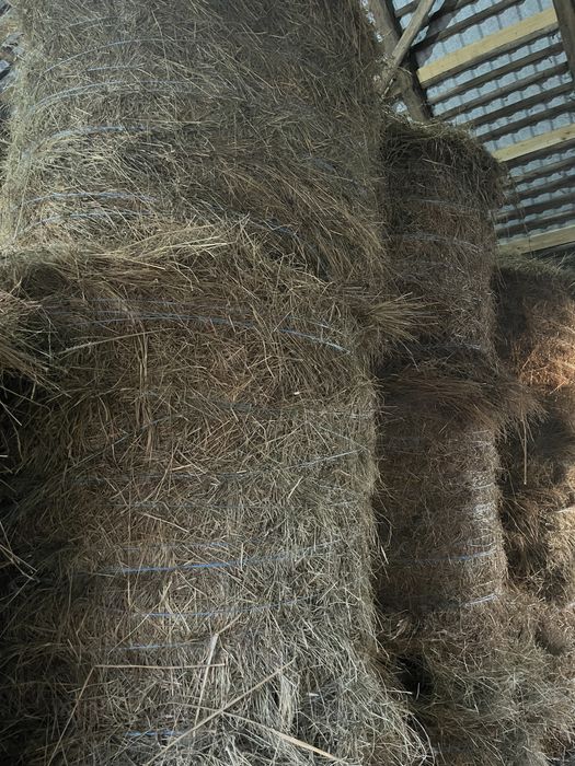 Vând baloți de fân!