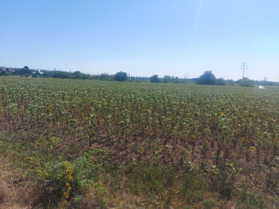 Intravilan Valea Calugareasca 4895 mp