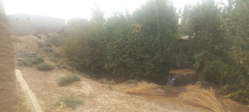 Hovli sotiladi sroshni