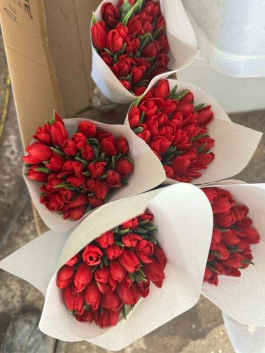 Тюльпаны на 8март