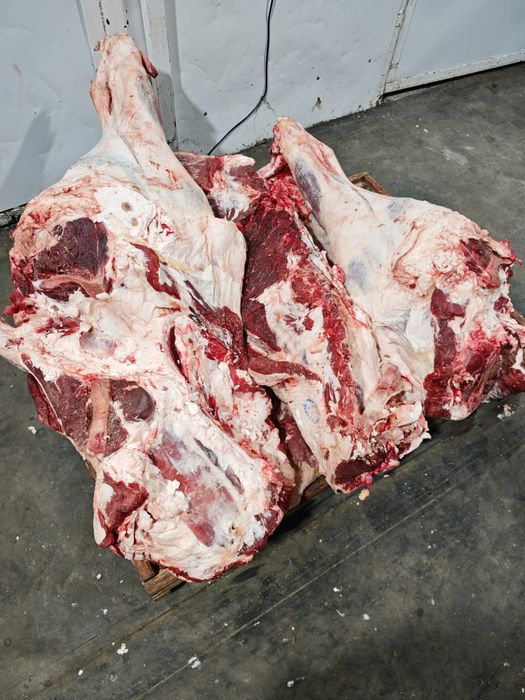 Мясо говядины конины баранины