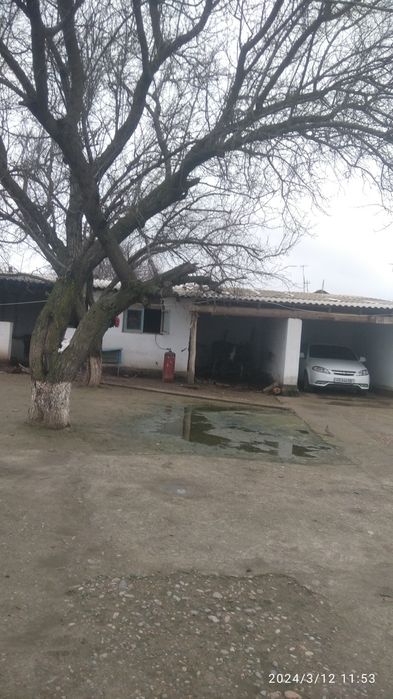 Уй сотилади. Бука туман Бука МФЙ