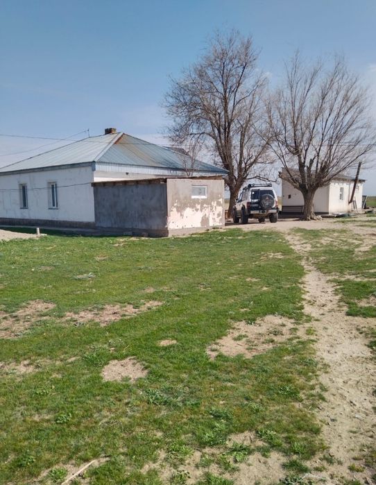 Фазенда продается недалеко от города Таразаз