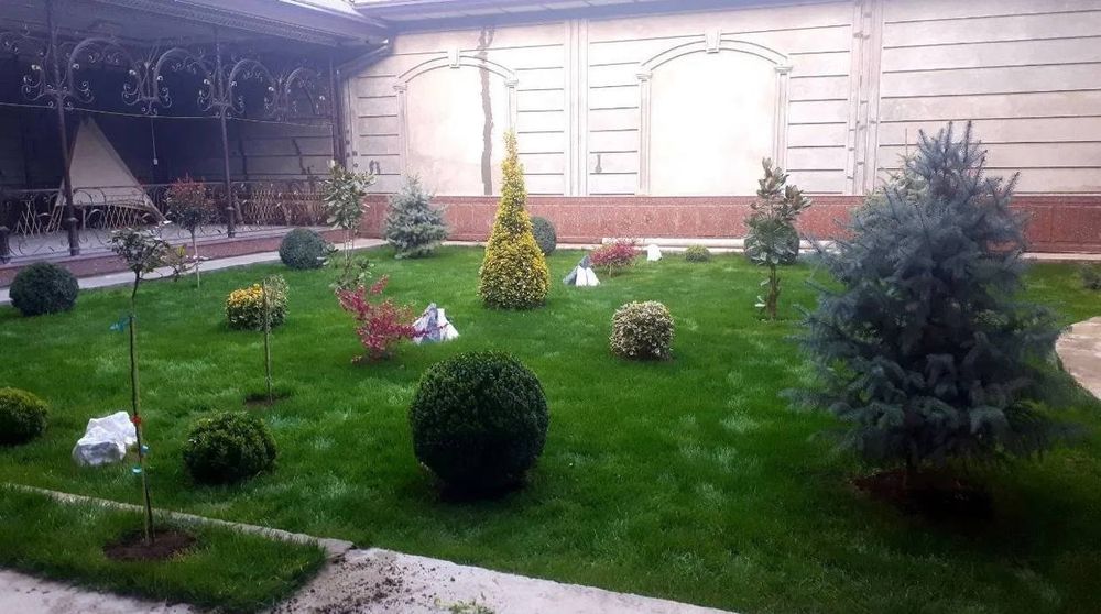 Gazon ekish xizmati tayyor rulon