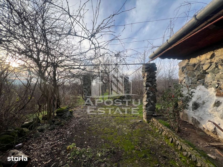 De vanzare casa de vacanta in Charlotemburg jud Timis