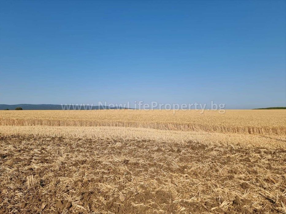 Земеделски парцел близо до с. Тънково, обл. Бургас