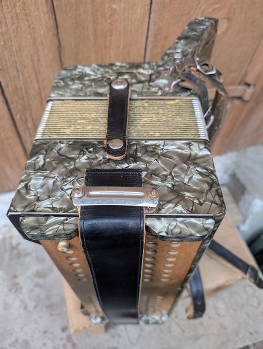 Acordeon Elgeria 80 basi