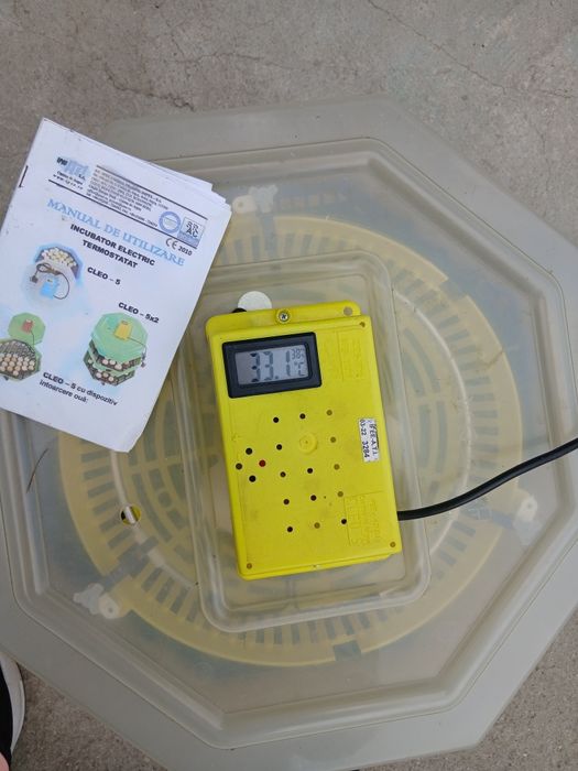 Clocitoare automata pentru oua