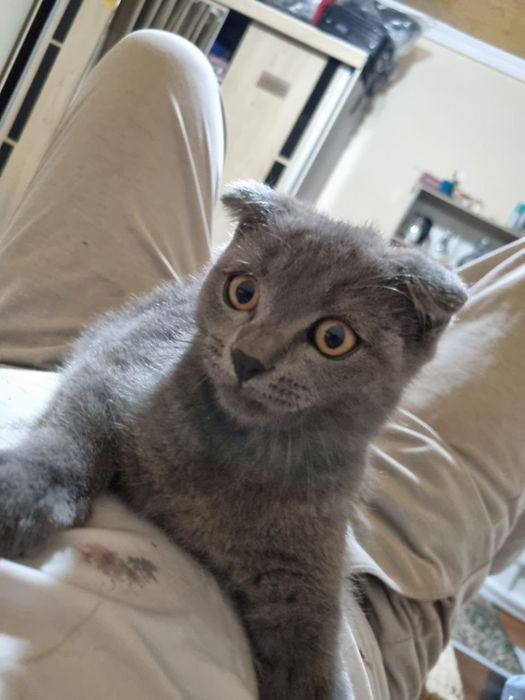 Issiq joja bilan porno video jinsiy aloqa