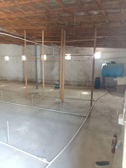 Uchaska tayyor biznes broler jo'ja boqish uchun tayyorjoy xammajixozla