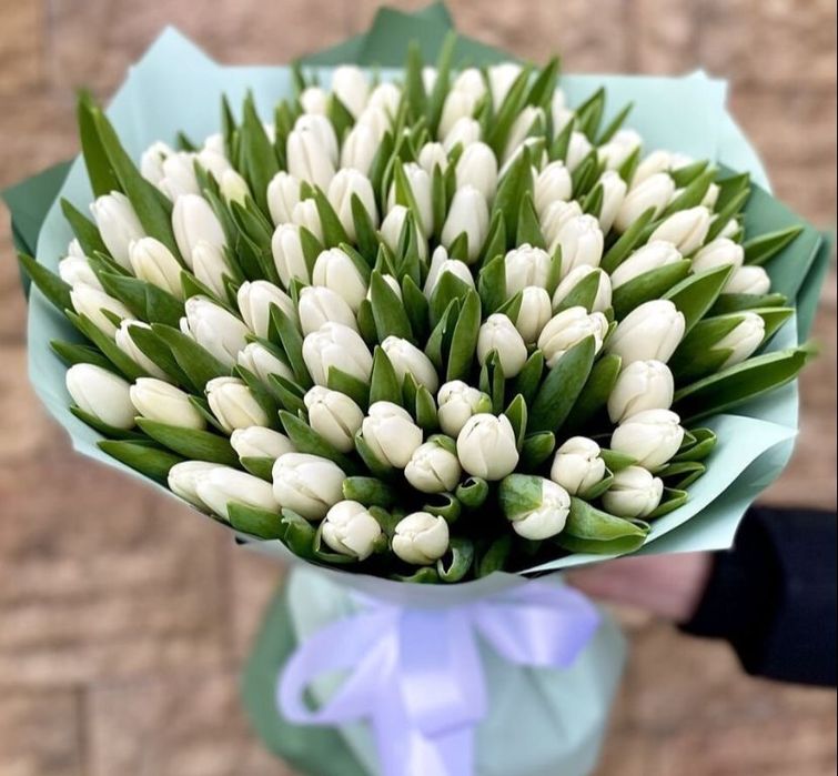 Тюльпаны тепличные