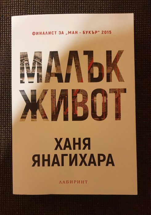 Малък живот - Ханя Янагихари