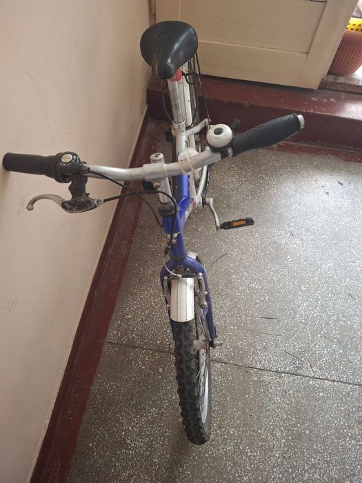 Bicicleta pentru copii Pegasus OM