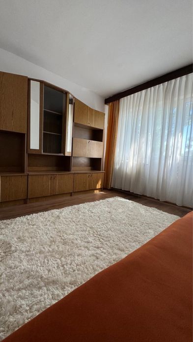 Garsoniera cocheta (camera camin) zona Calea Severinului- Propietar