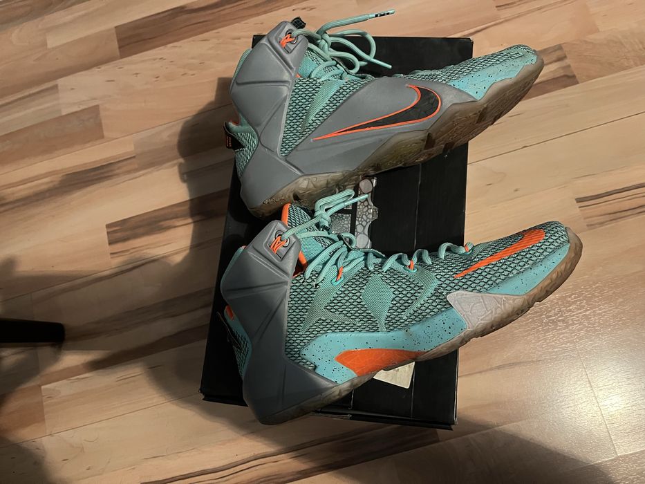Nike Lebron 12 NSRL (2014)