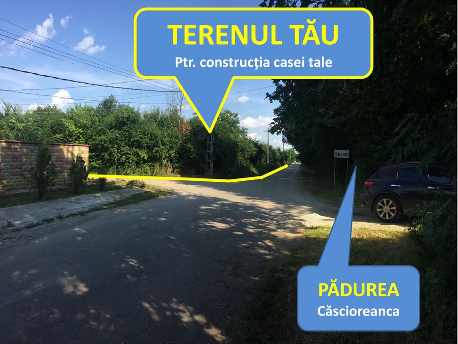 Vand teren intravilan La Pădure  Suseni/Bolintin Vale