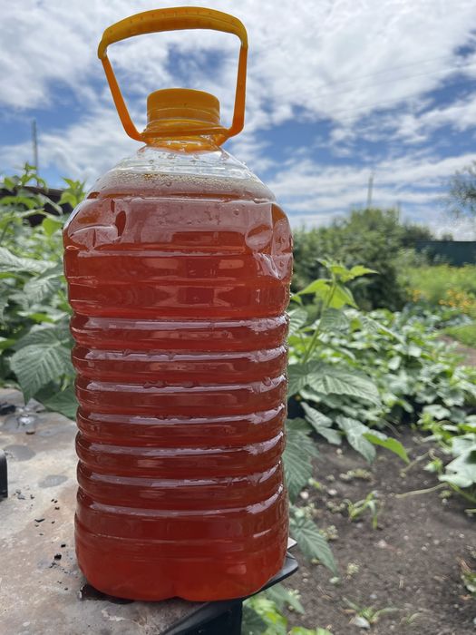 продам МЁД (луговой) !!! с доставкой