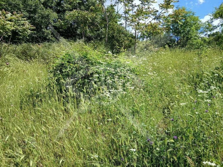 Парцел в м-т Боровец-юг - 83141