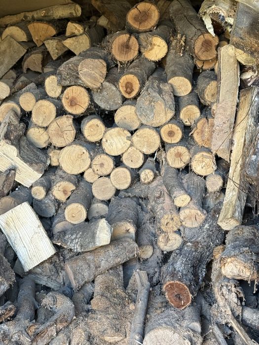 Vand lemne foc uscate