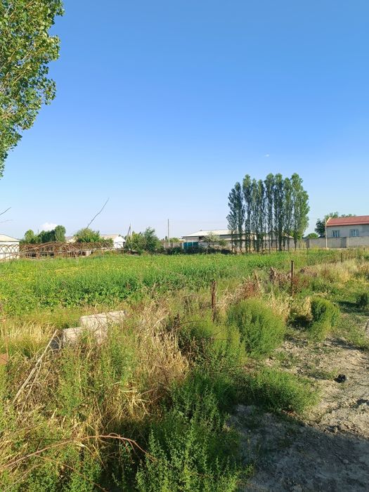 Участка ер майдон 15 соток