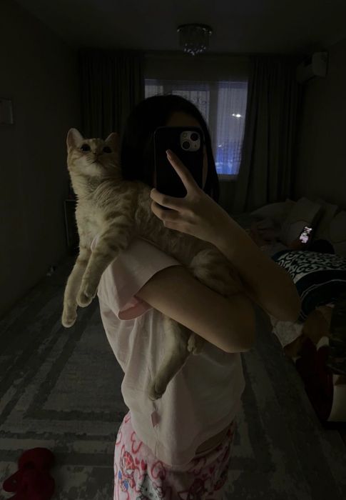 Котенок, Аки, милый