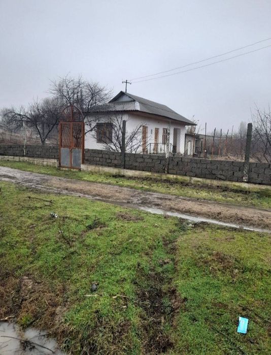 Продаётся Дача Аккурган рядом с рекой сирдарья 6-сот  кадастр есть