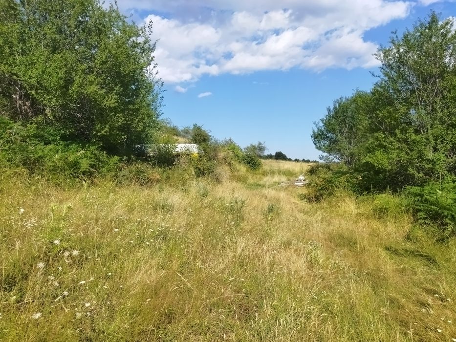 Продава панорамен южен парцел в гр.Смолян