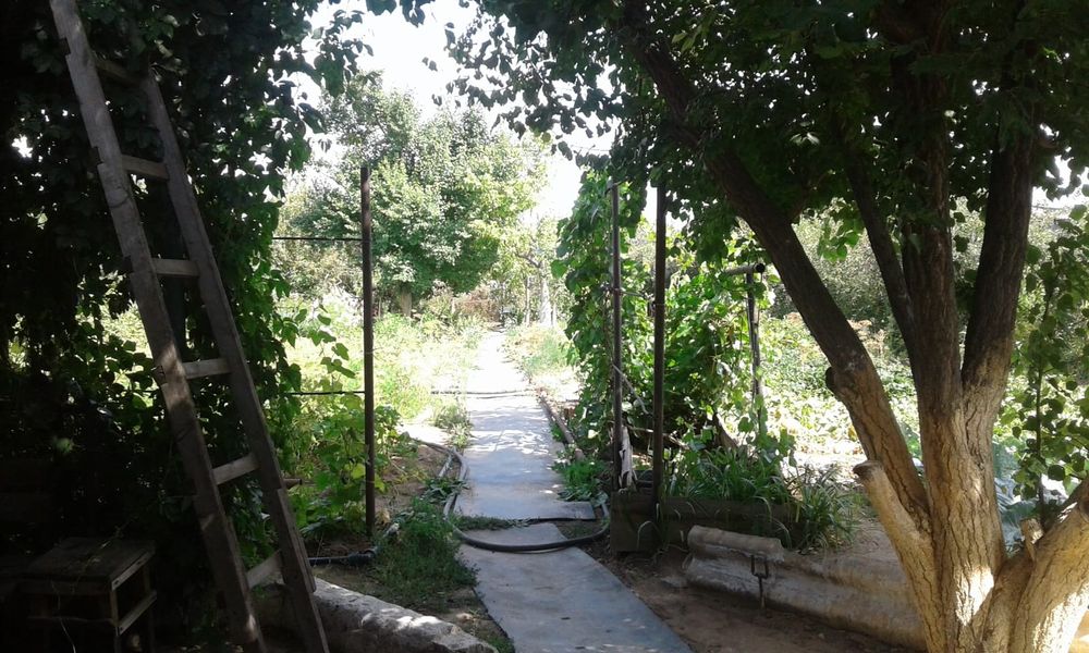 Продам дачу" Здравница '