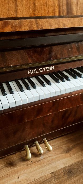 Фортепиано Holstein