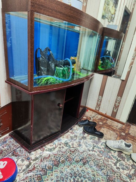 Akvarum 300 litirlik