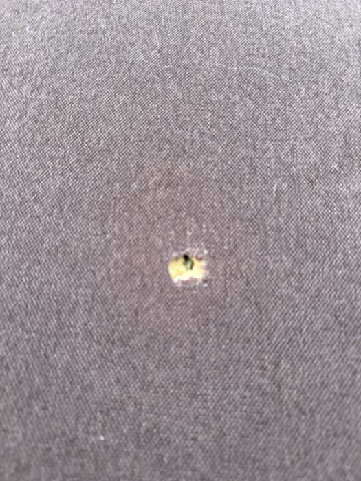 Canapea extensibila mic defect poze ofer transport plus 2 manipulatori