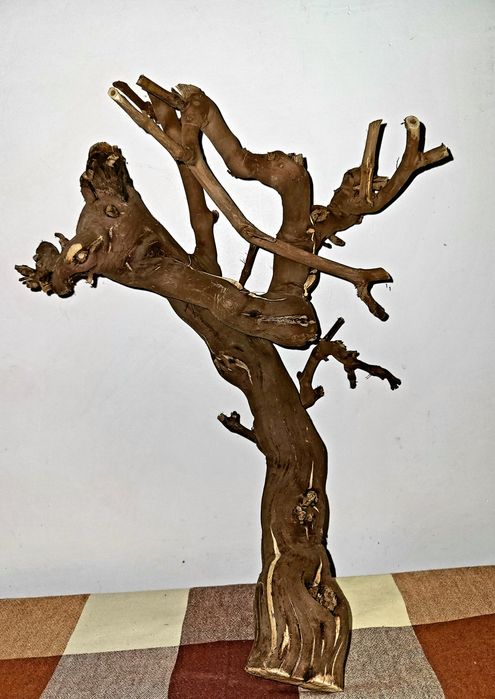 Vând cioate decor acvariu
