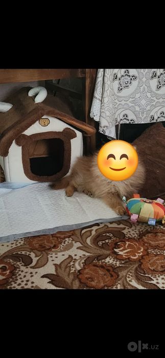 Продам домик для мелких собак и кошек