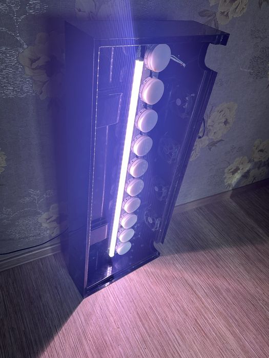 Продам аксалотов