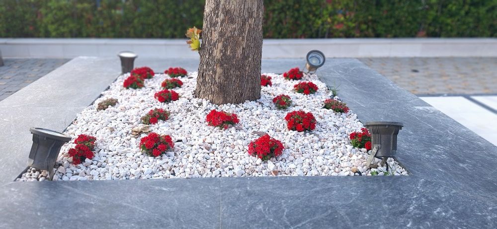 Доставка Бял декоративен камък-тип чакъл Уникален