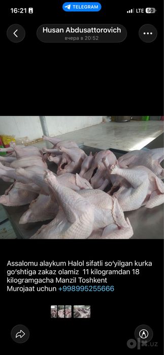 Курка индоутка утка гоз куён ггуштлари