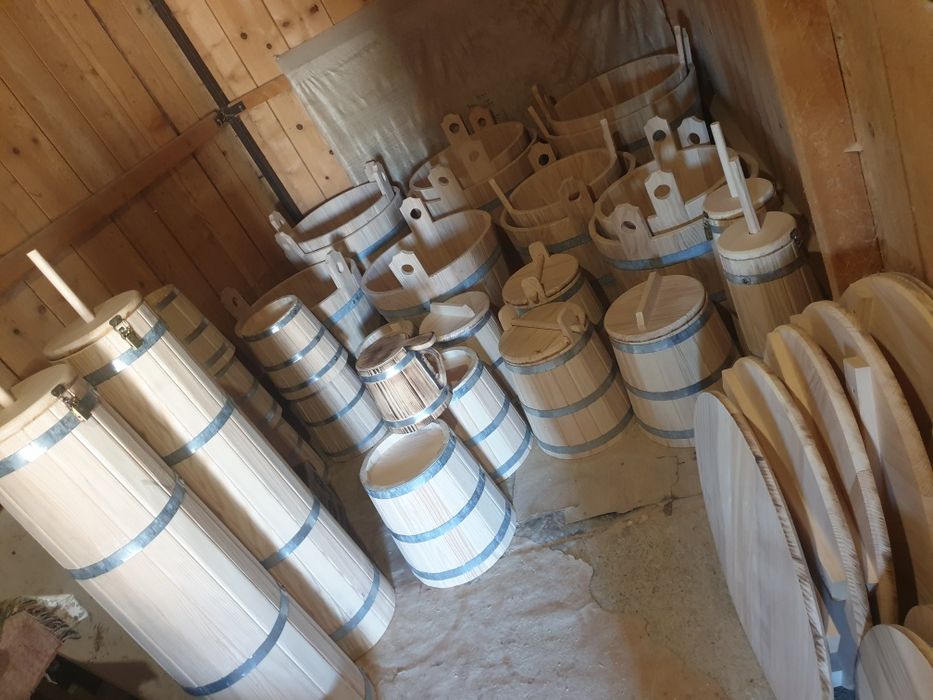 Putini din brad    .