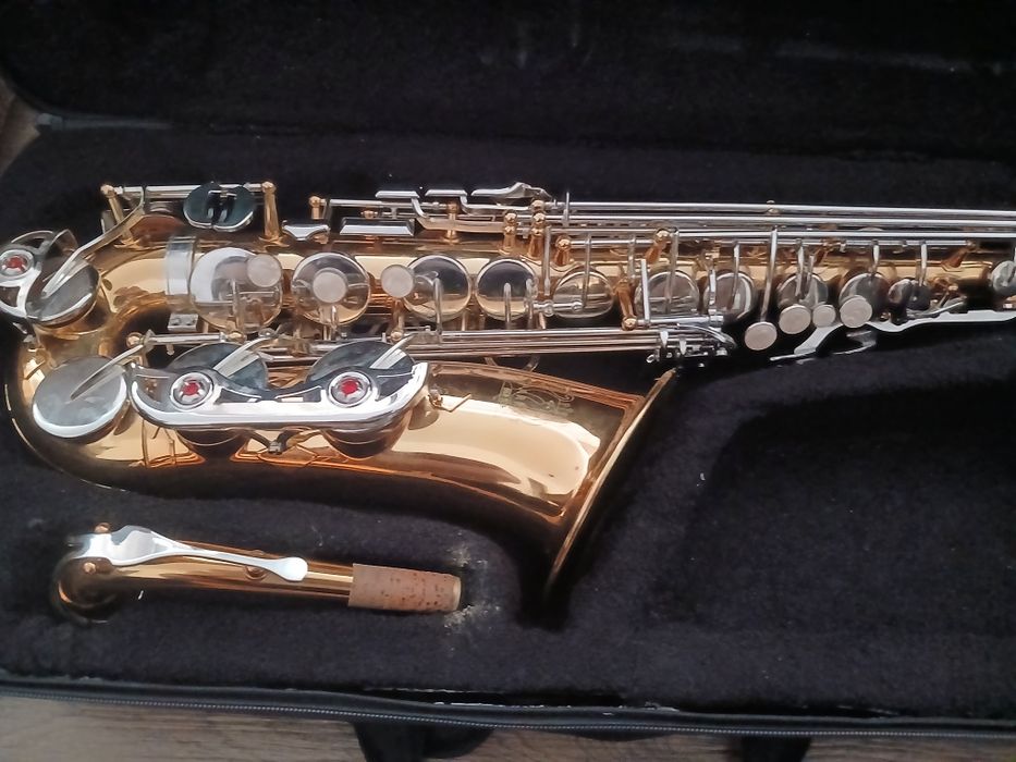 Saxofon parot nou