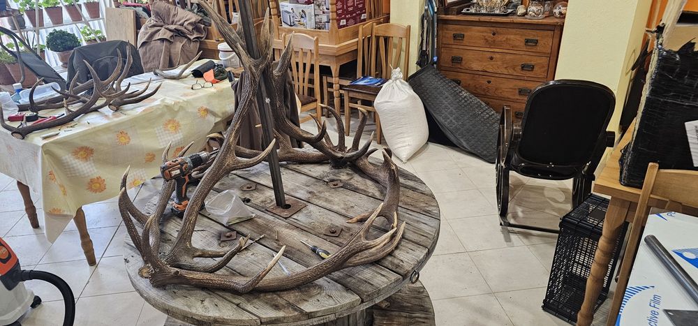 Полюлей от еленски рога