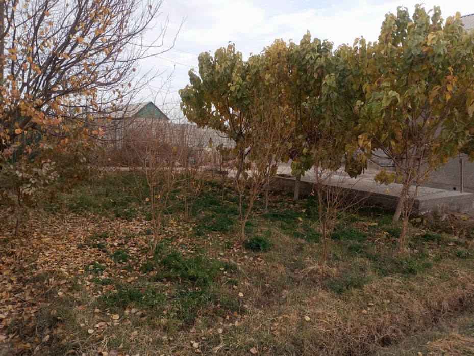 Срочно ховли сотилади!.