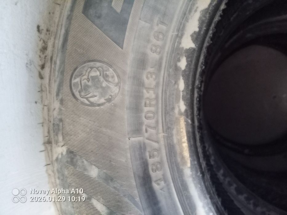 4 дона барс балон холати яхши