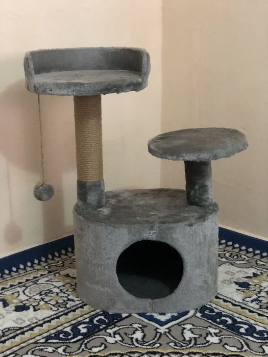 Pishakcha uchun uycha