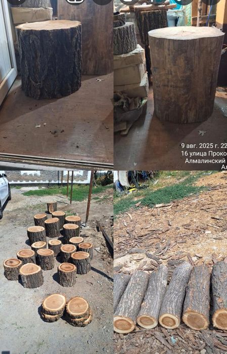 Продам карагач пеньки