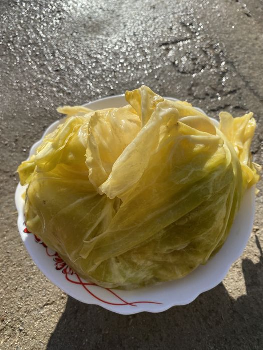 Varză murată românească