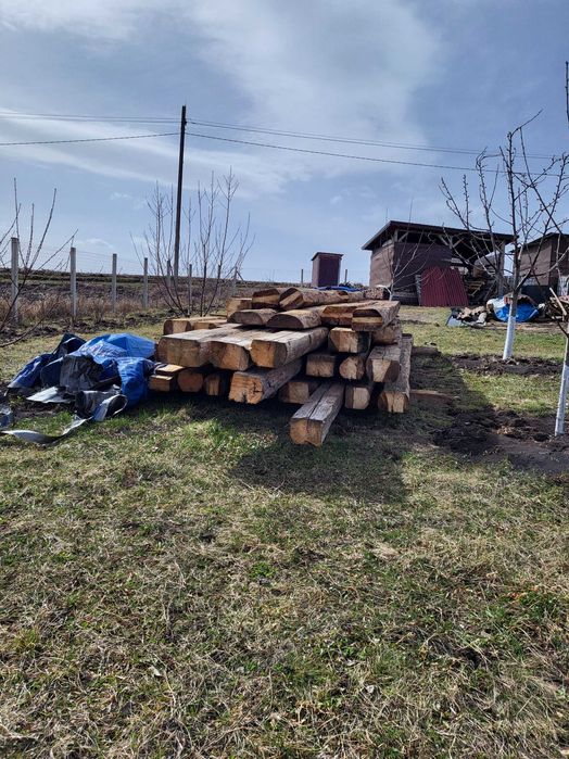 Grinzi/bârne pin silvestru