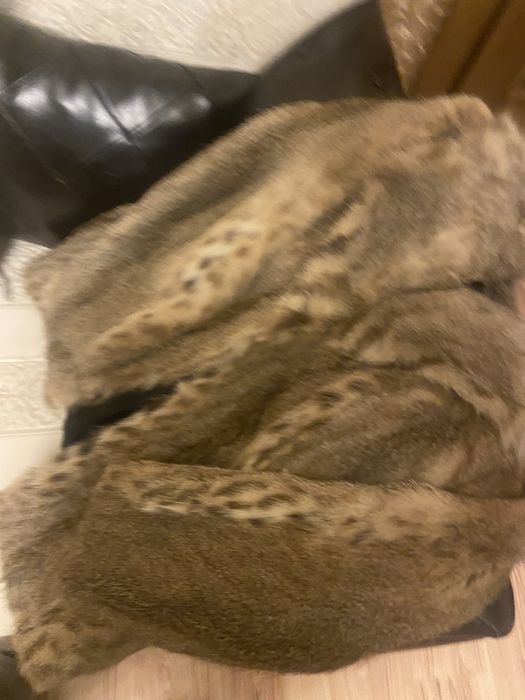 Blana lynx marimea XS/S/M/L mic