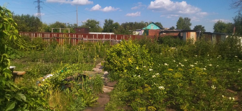 Продам хорошую дачу д/о ромашка