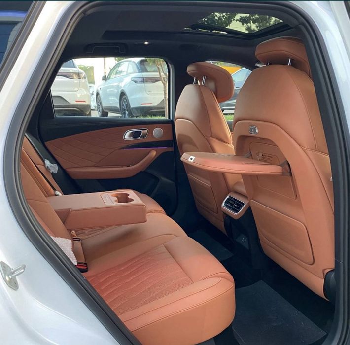 Hozon Neta L 310 km GIBRID