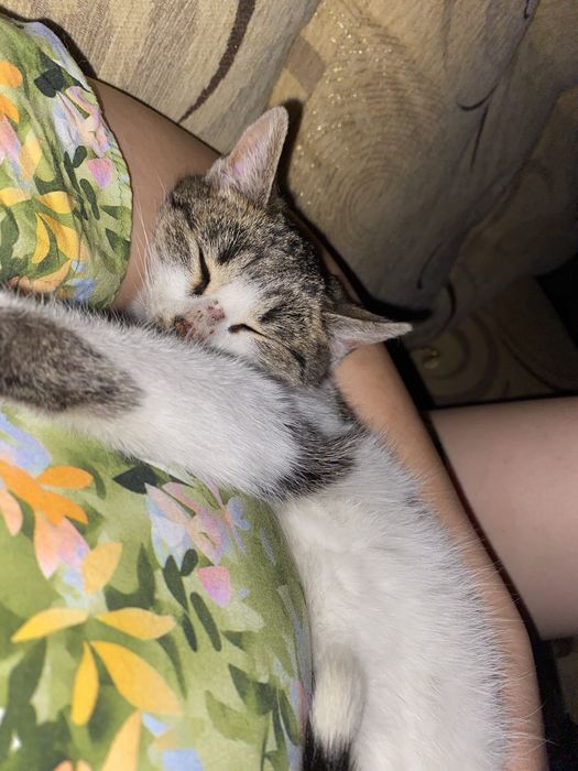 Отдадим в добрые ручки!!!